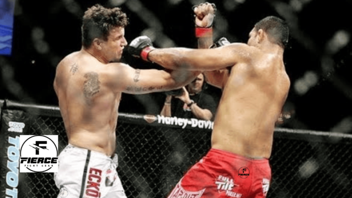 Nogueira vs Frank Mir